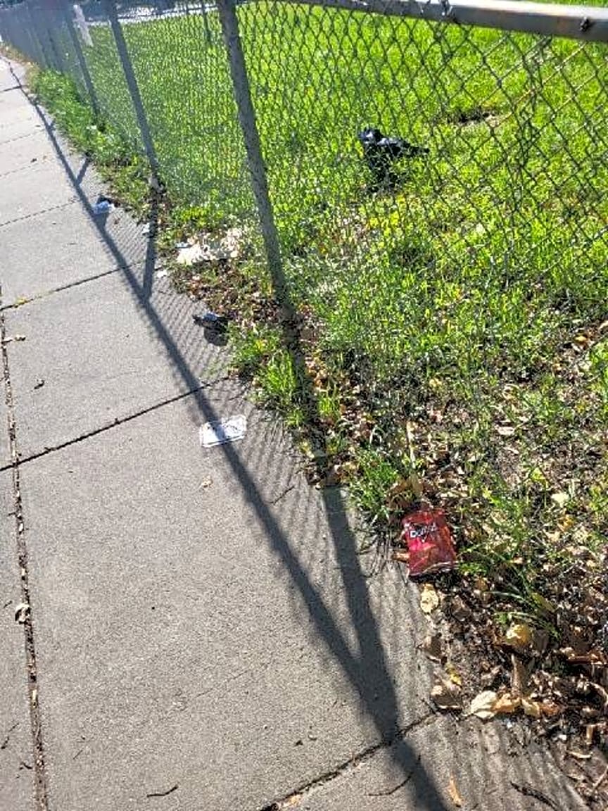 Image submitted with report