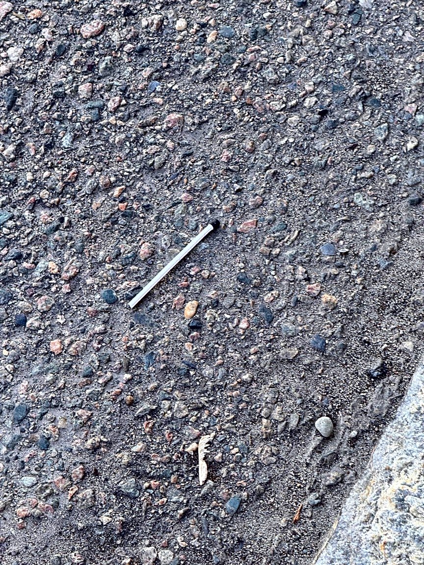 Image submitted with report