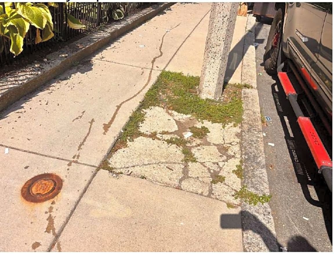 Image submitted with report