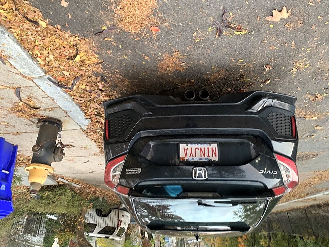 Image submitted with report