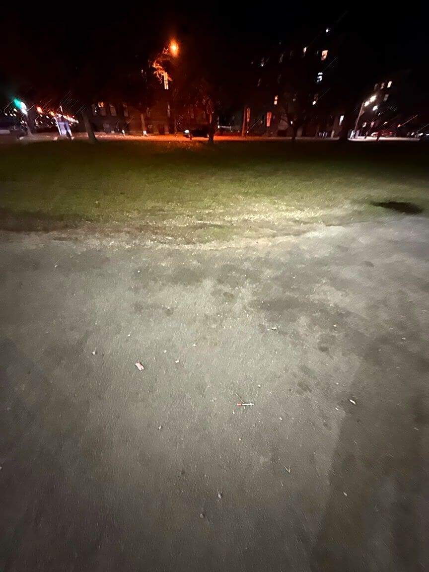 Image submitted with report