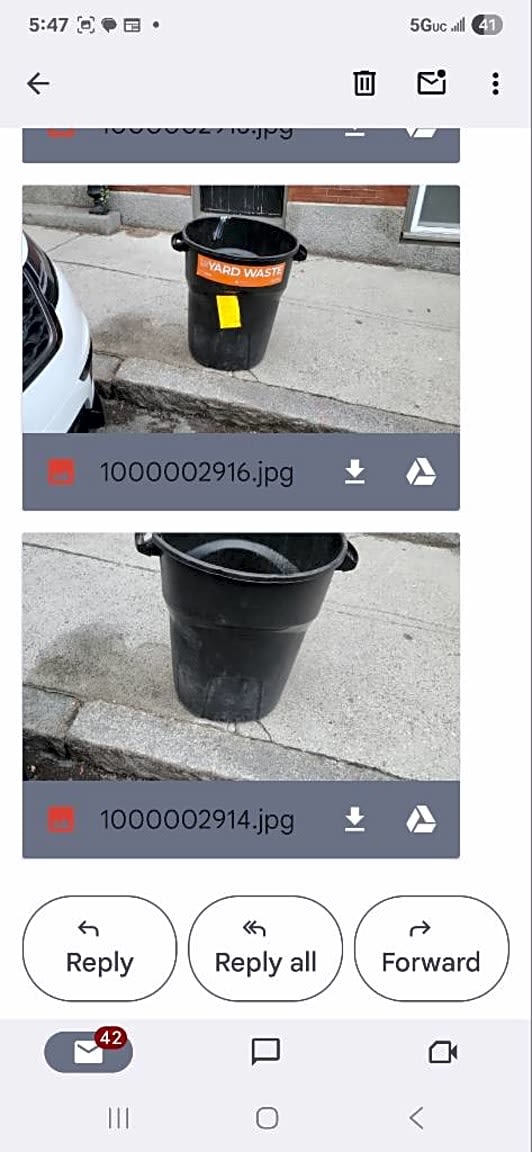 Image submitted with report
