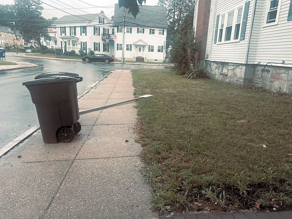 Image submitted with report