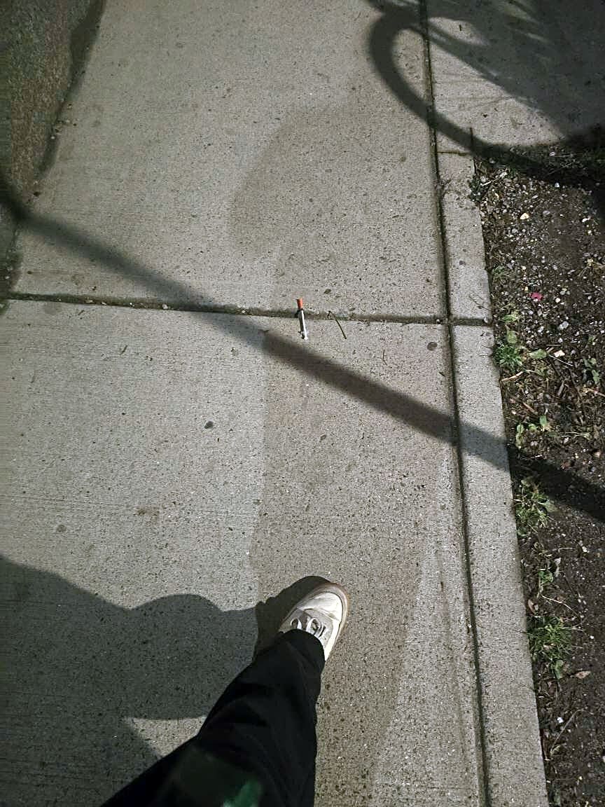 Image submitted with report