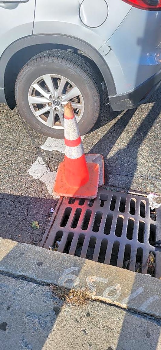 Image submitted with report