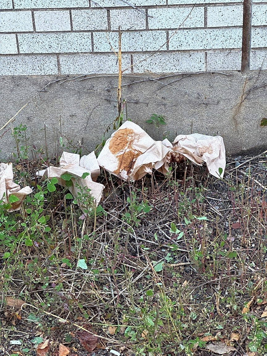 Image submitted with report