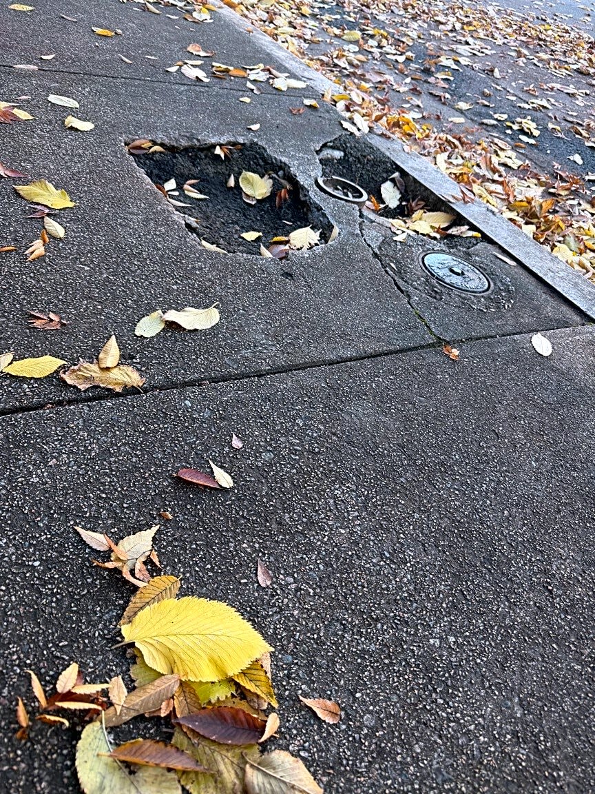 Image submitted with report