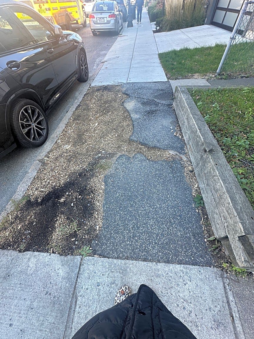 Image submitted with report