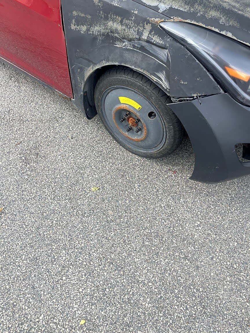 Image submitted with report