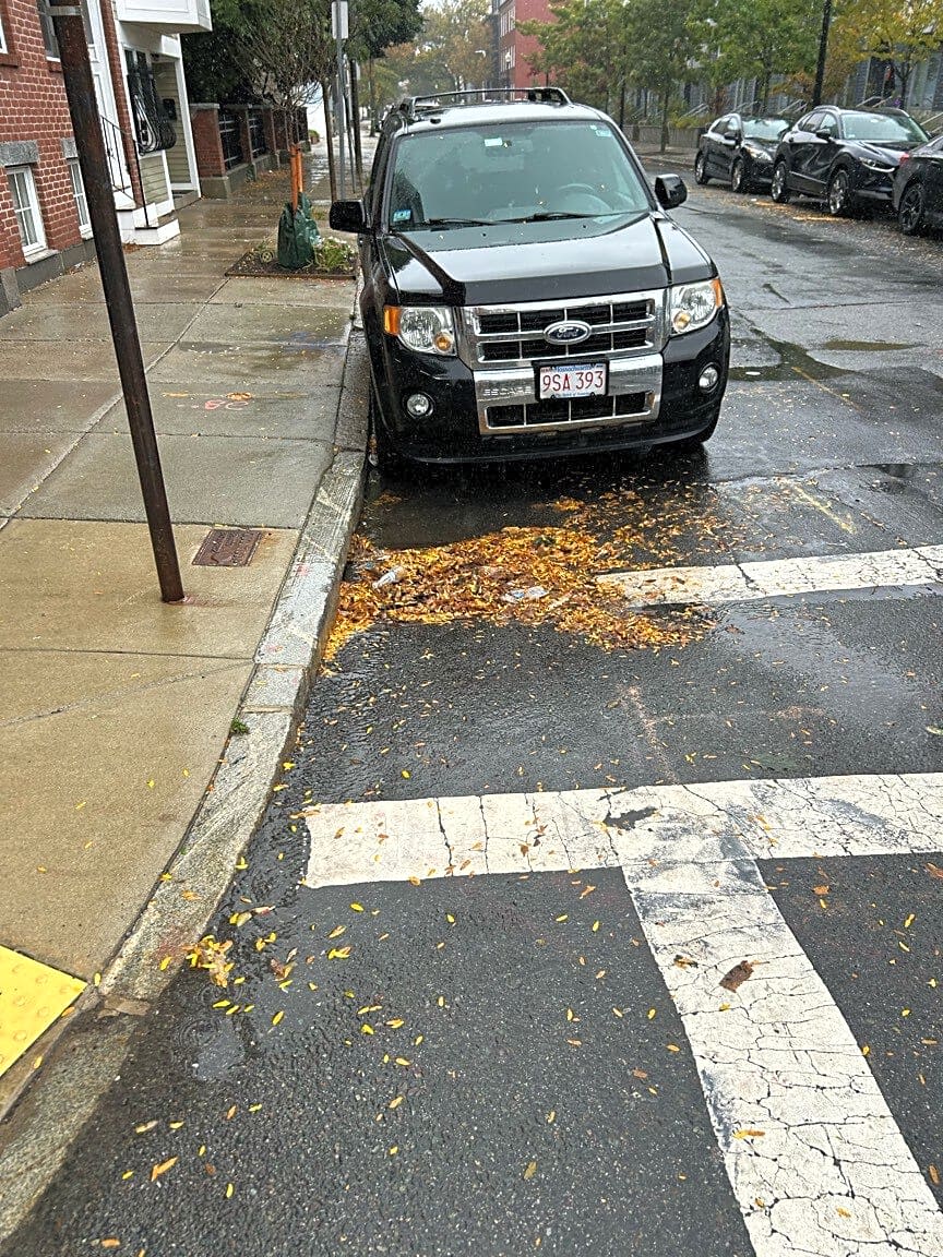 Image submitted with report