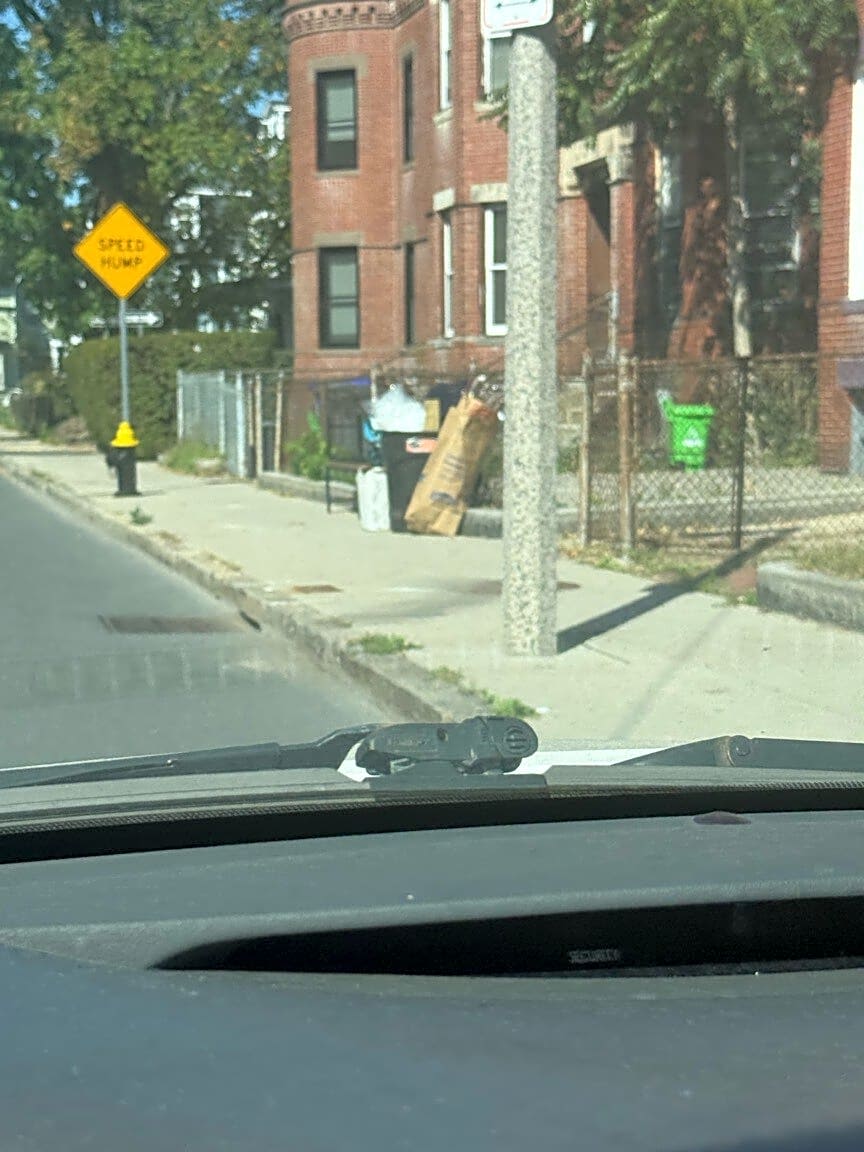 Image submitted with report