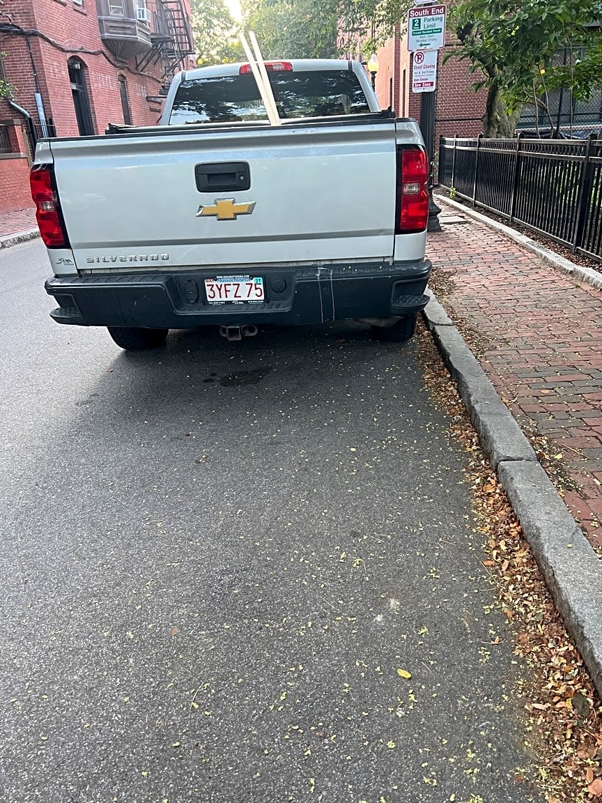 Image submitted with report