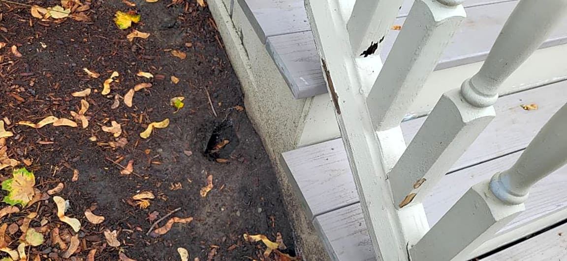 Image submitted with report