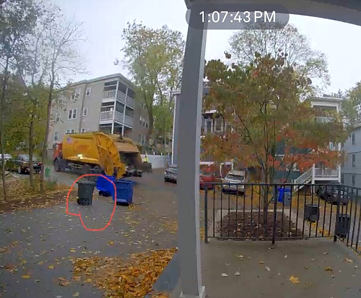 Image submitted with report