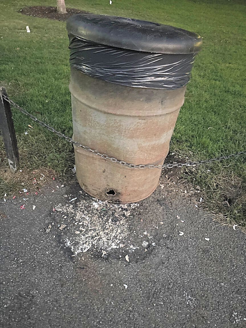 Image submitted with report