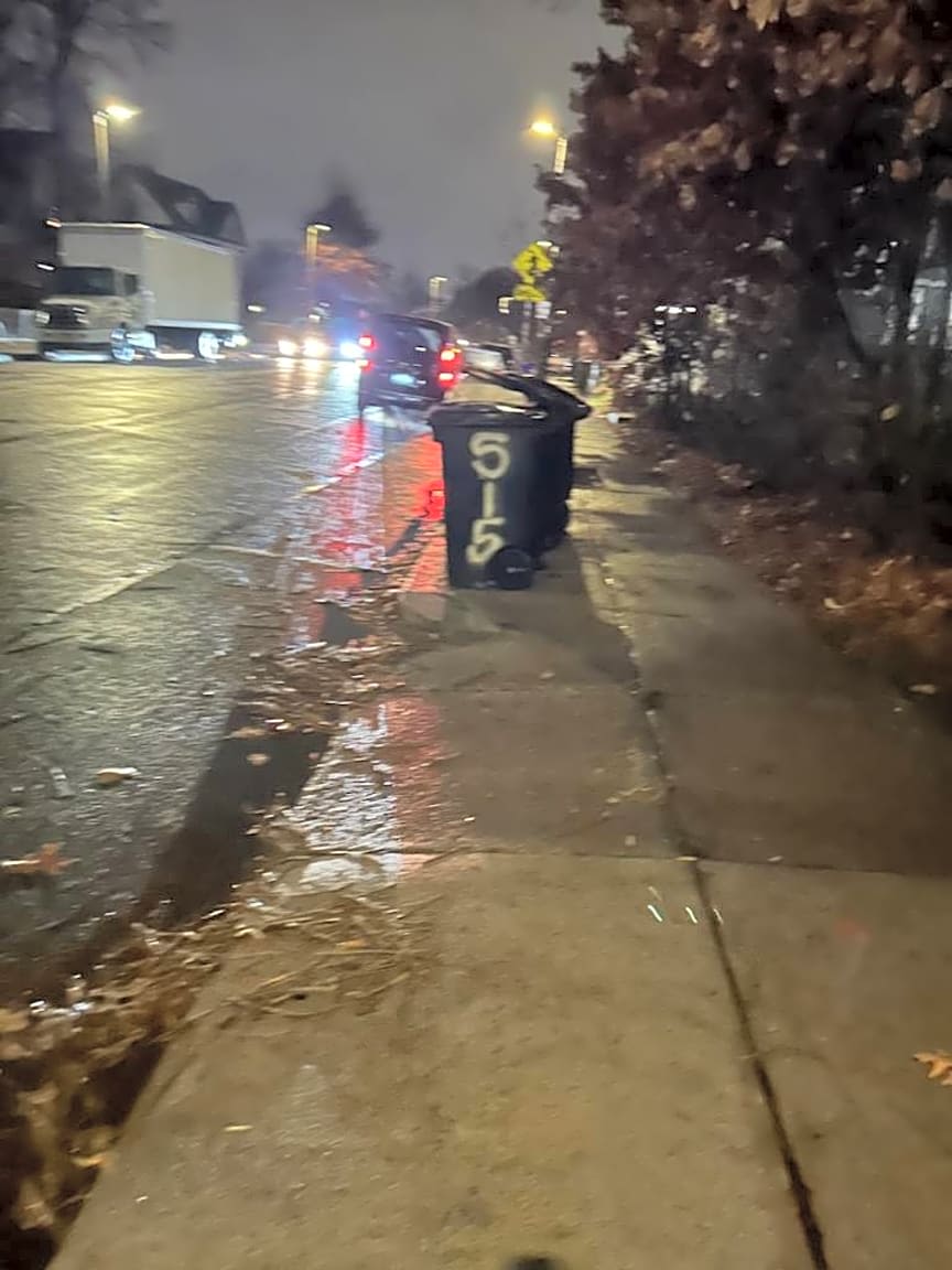 Image submitted with report