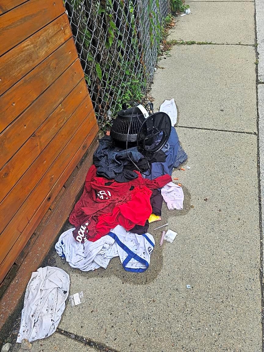 Image submitted with report