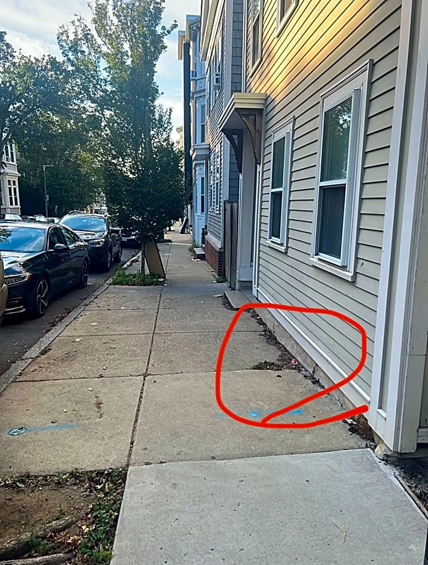 Image submitted with report