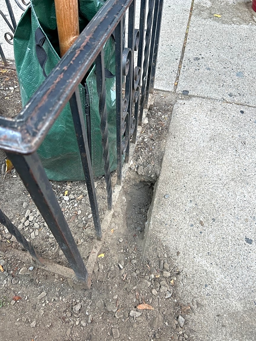Image submitted with report