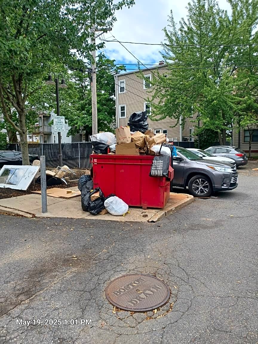 Image submitted with report