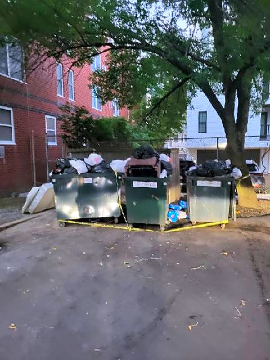 Image submitted with report