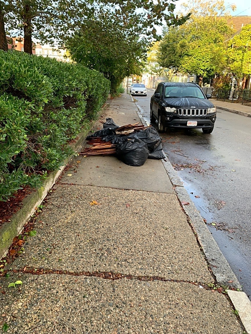 Image submitted with report