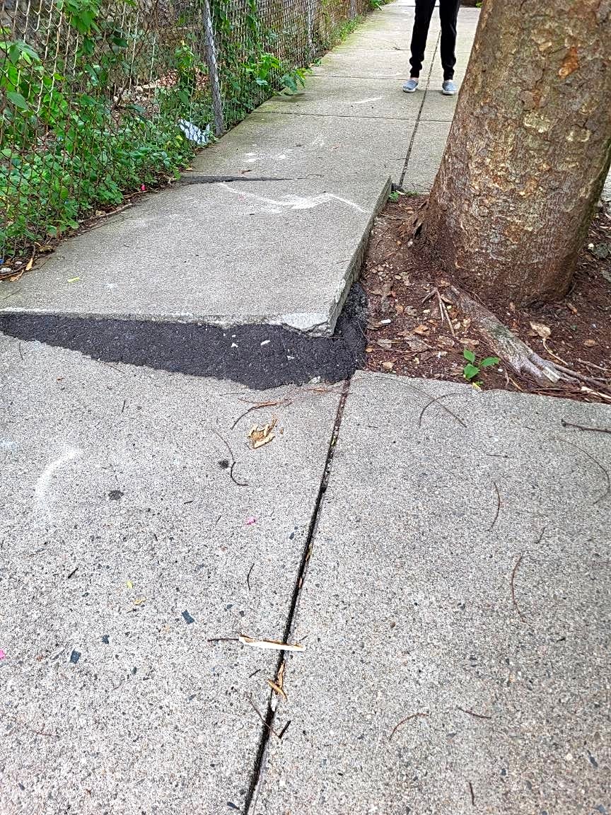 Image submitted with report