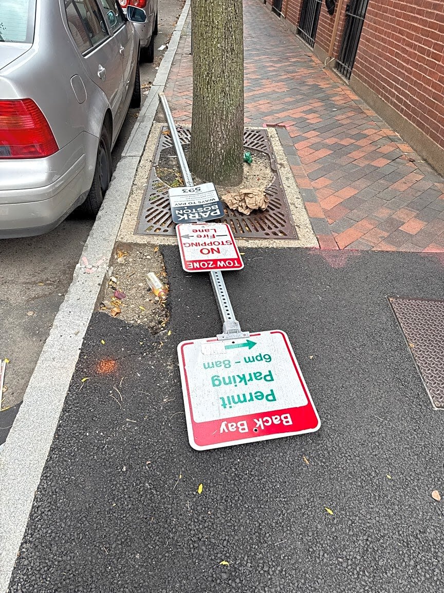 Image submitted with report