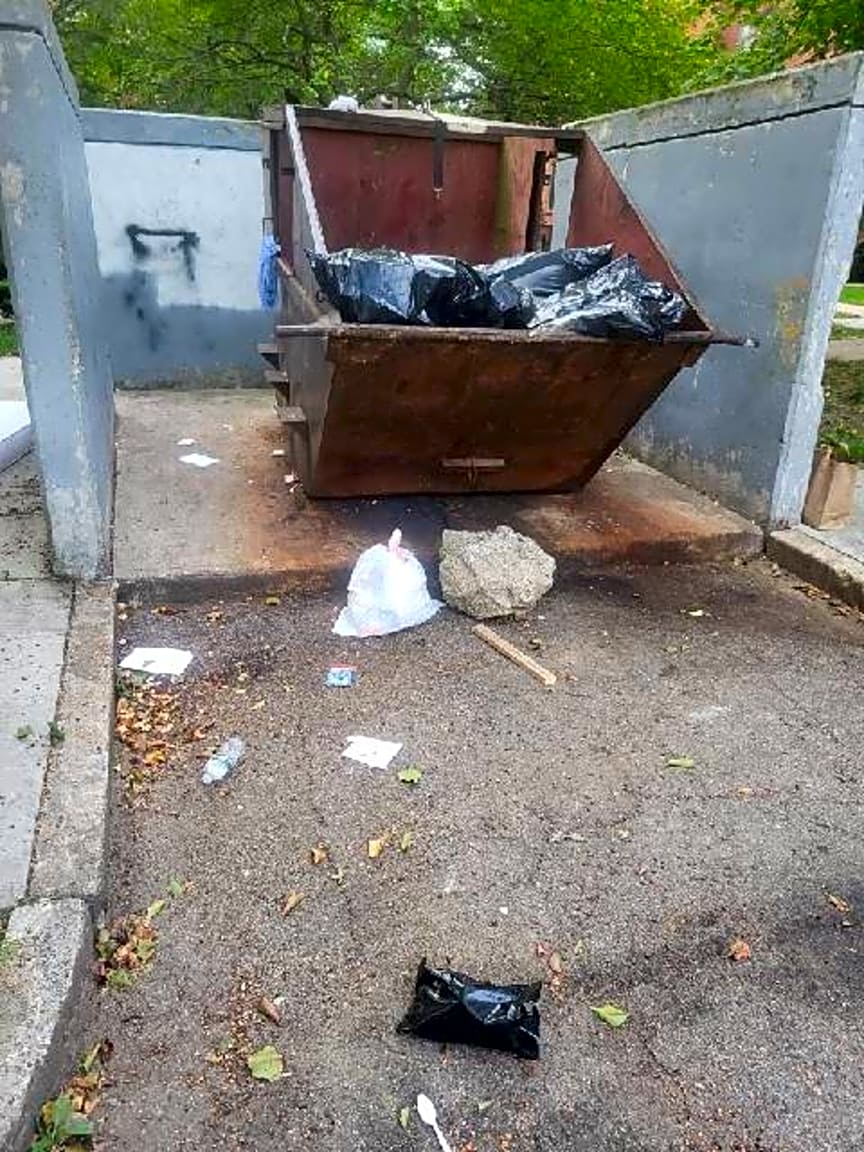 Image submitted with report