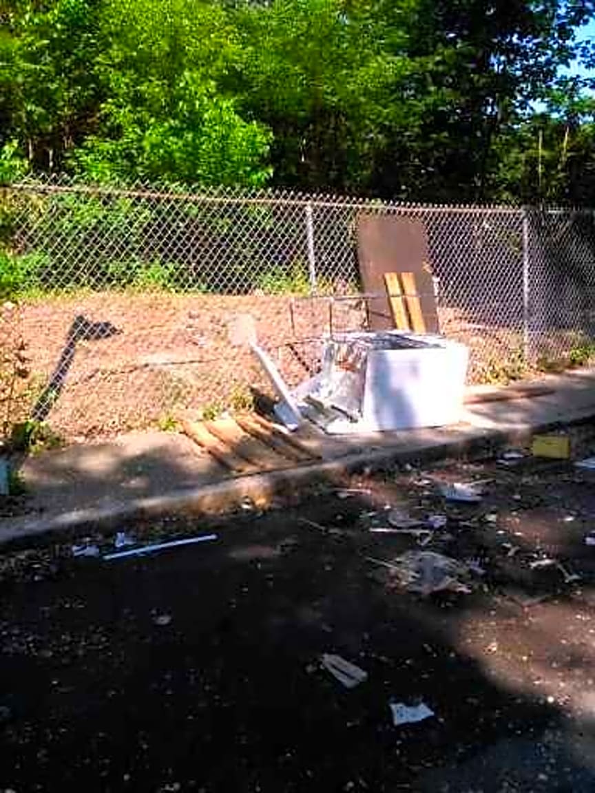 Image submitted with report