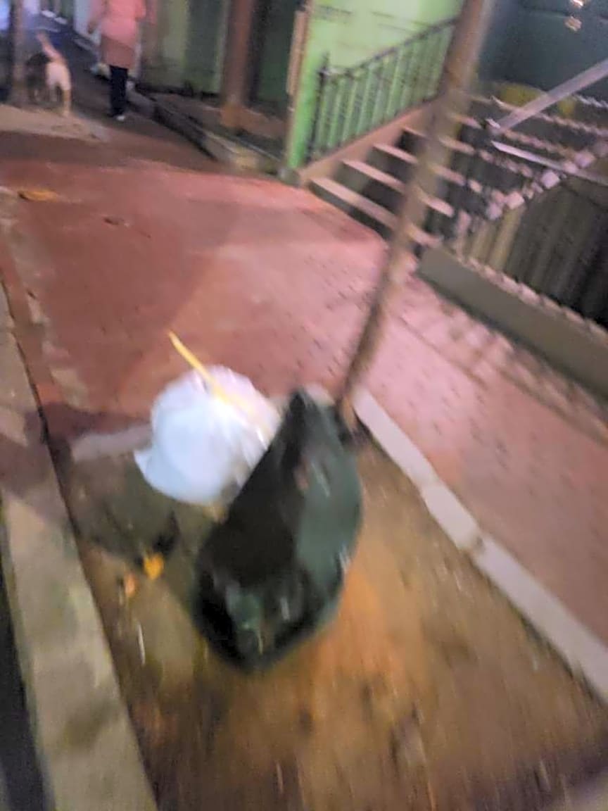 Image submitted with report