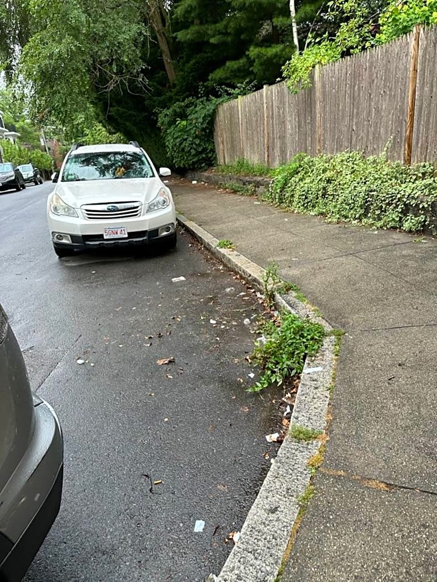 Image submitted with report