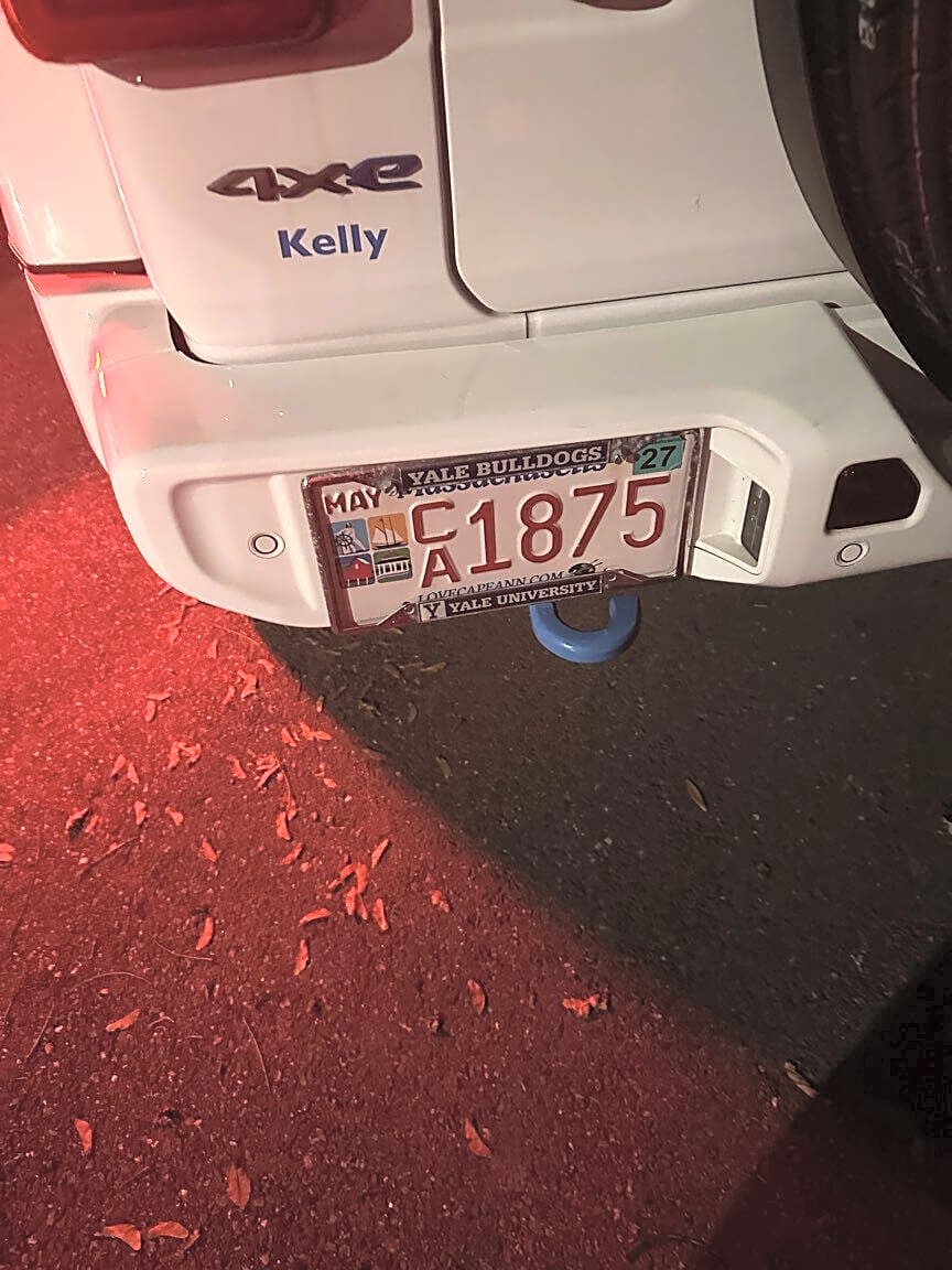 Image submitted with report