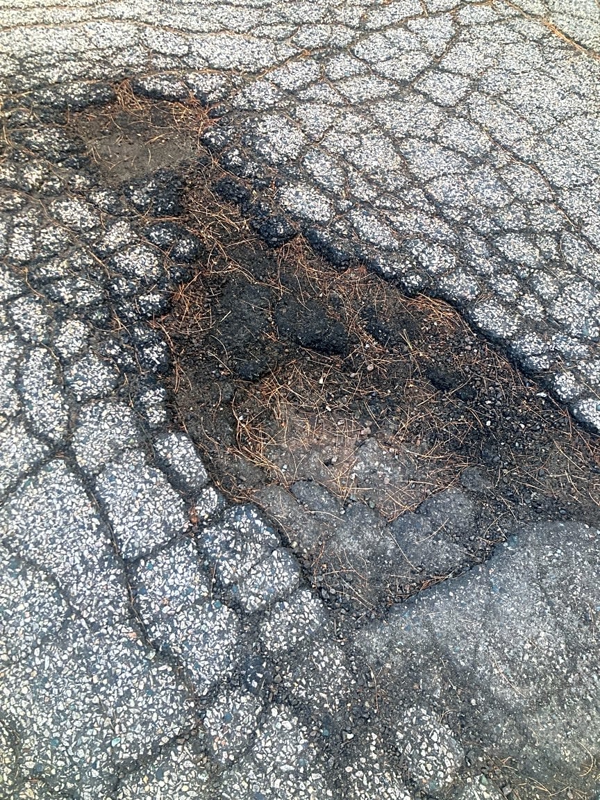 Image submitted with report