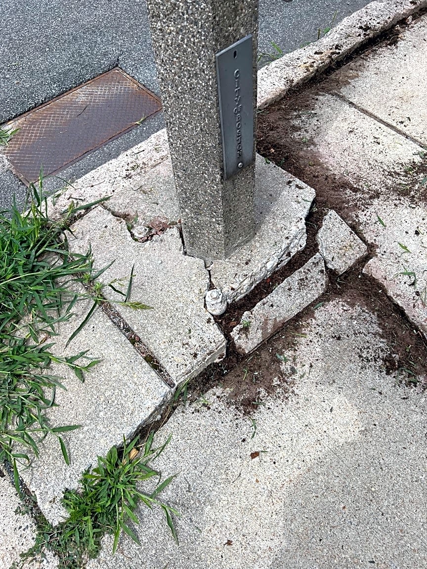 Image submitted with report