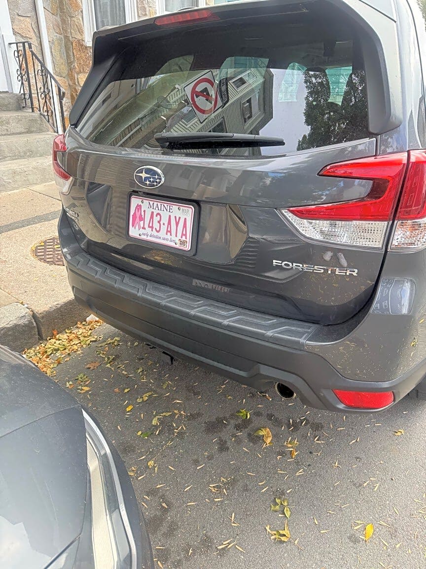 Image submitted with report