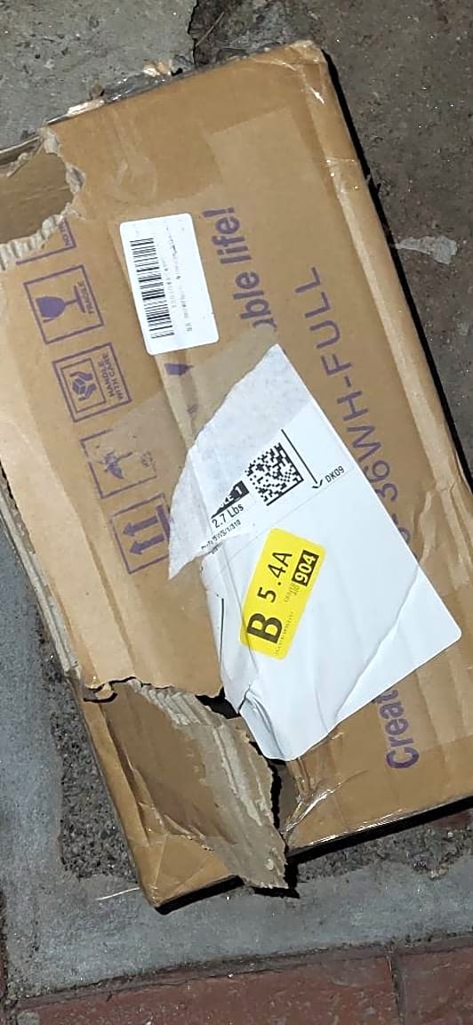 Image submitted with report