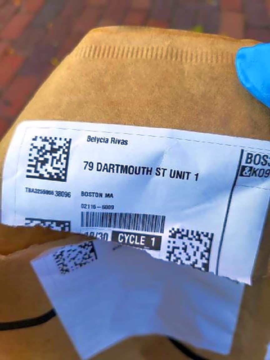 Image submitted with report