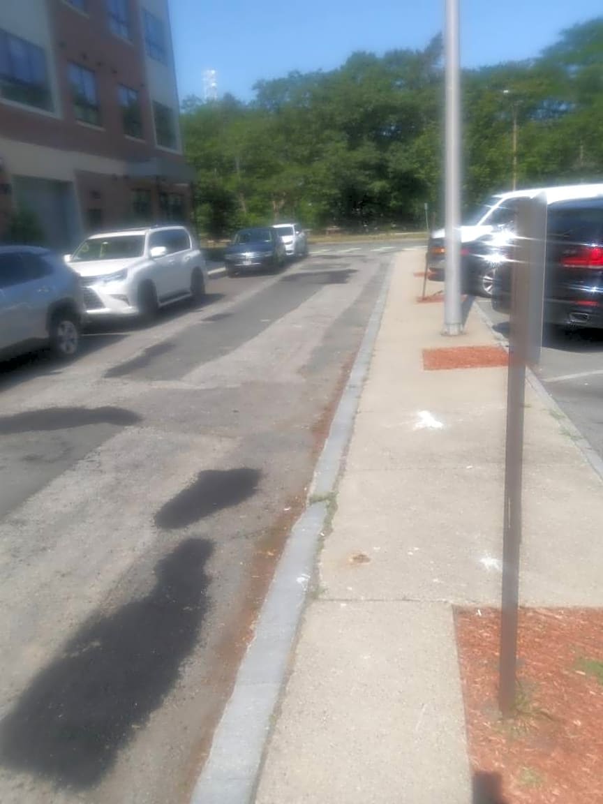 Image submitted with report