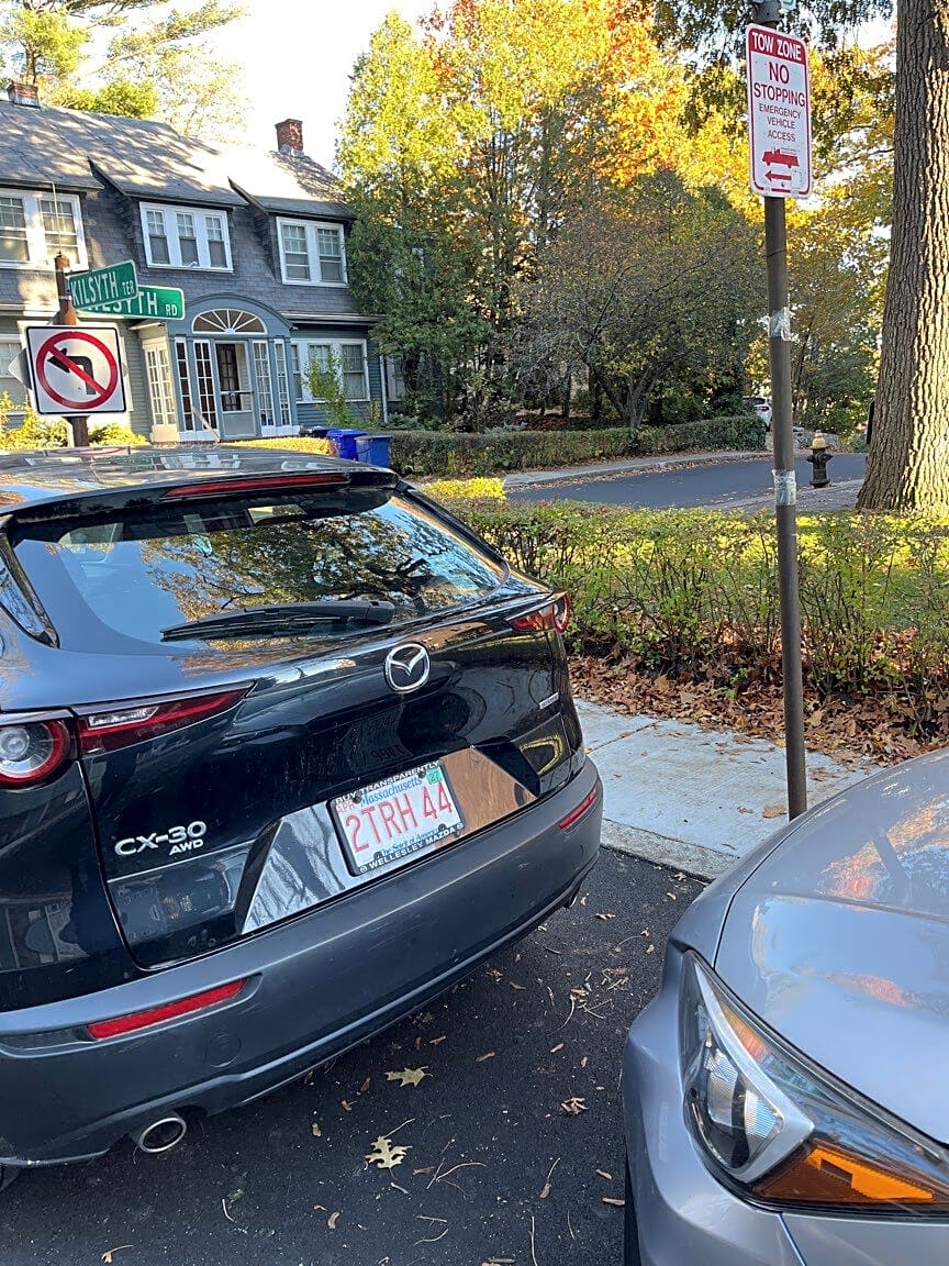 Image submitted with report