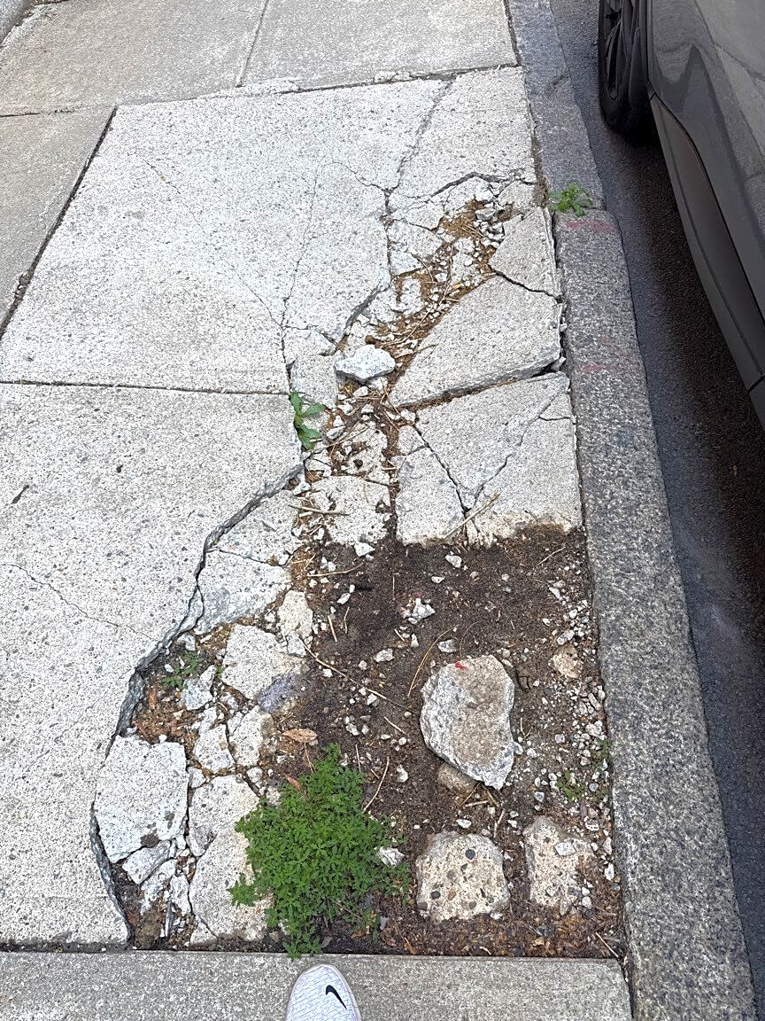 Image submitted with report