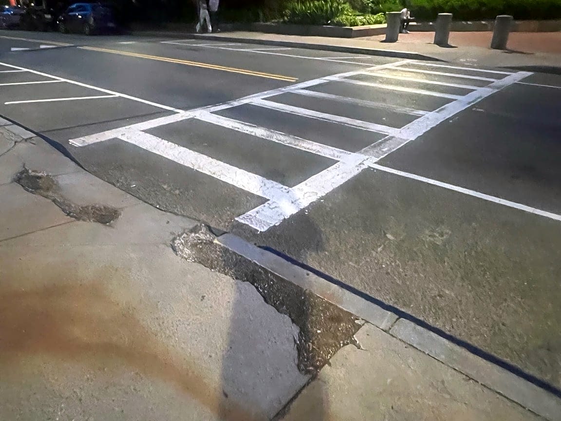 Image submitted with report