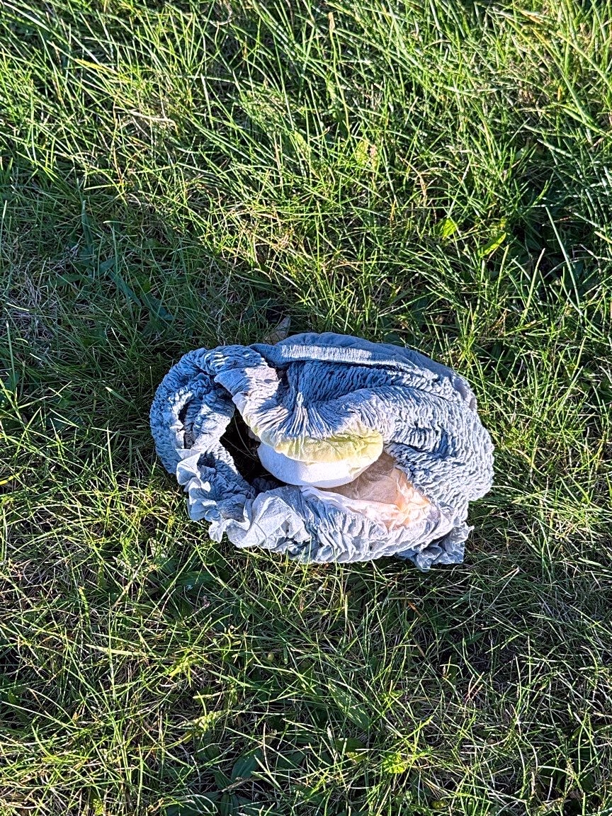 Image submitted with report