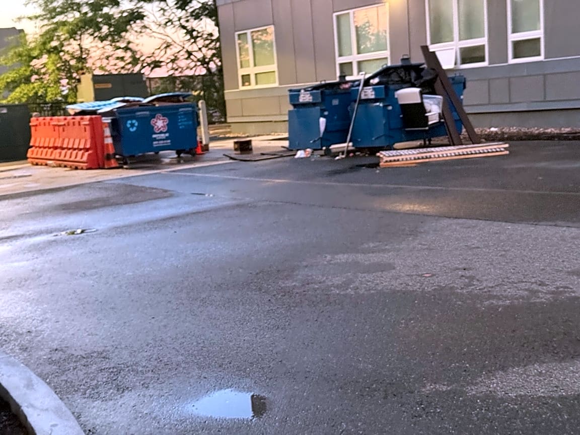 Image submitted with report