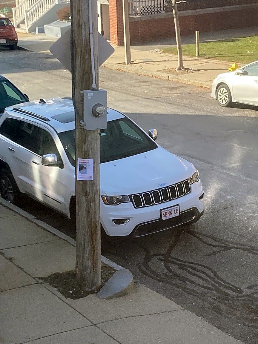 Image submitted with report