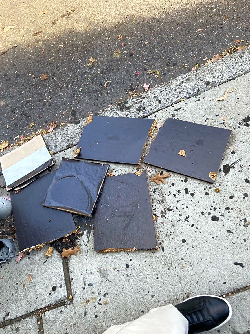 Image submitted with report