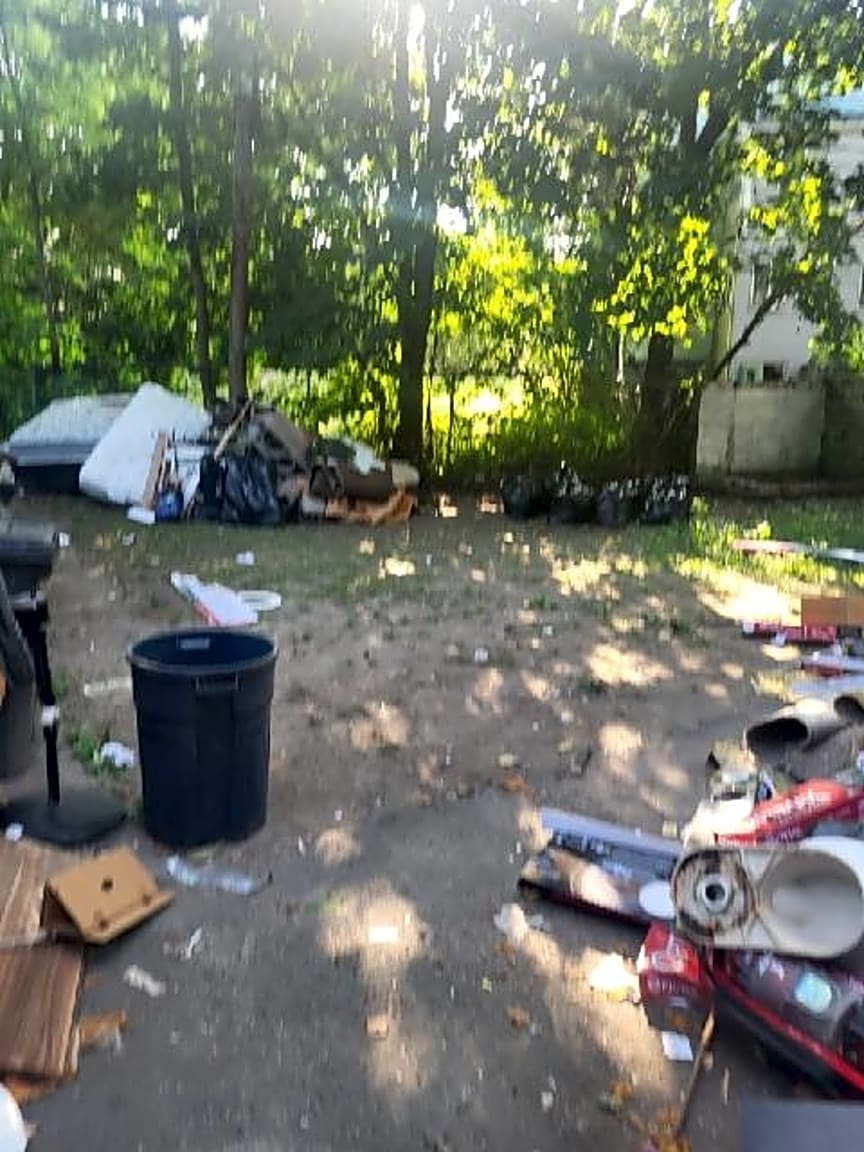 Image submitted with report