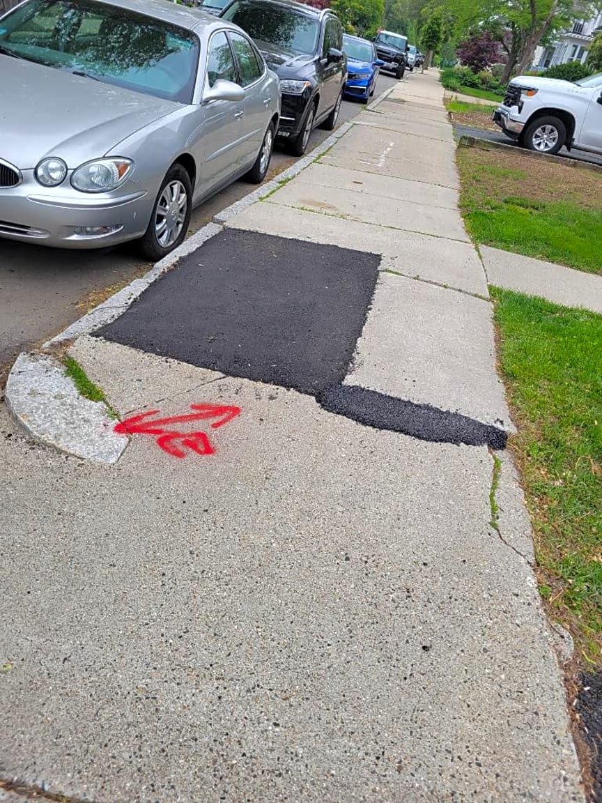Image submitted with report