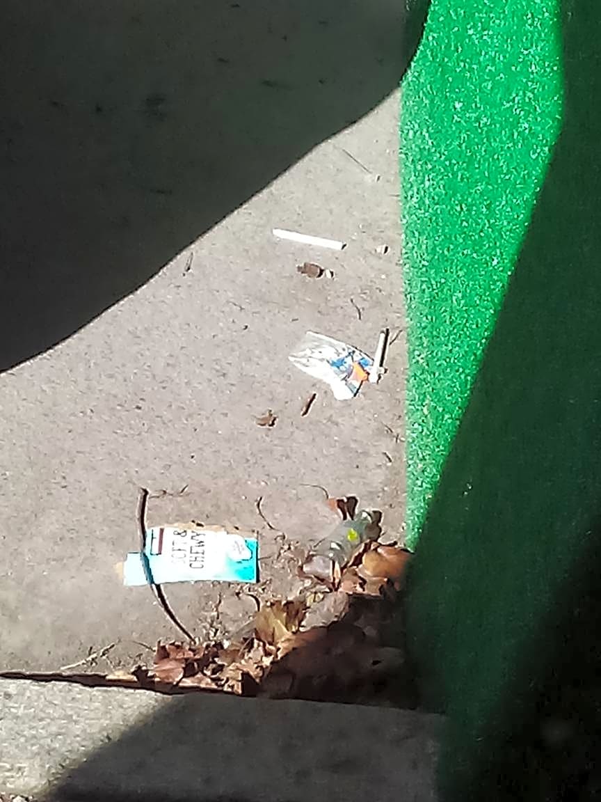 Image submitted with report