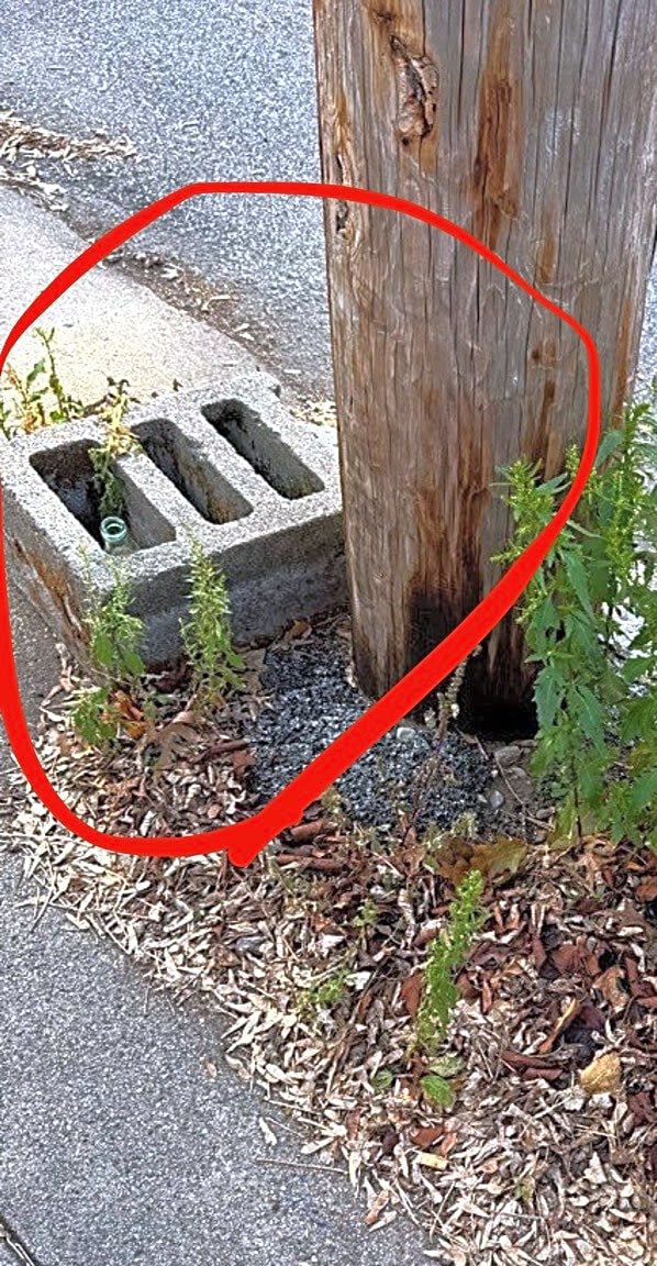 Image submitted with report